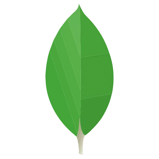 MongoDB "ifraheem"